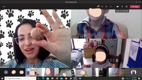 Inquiry in a virtual&nbsp;classroom